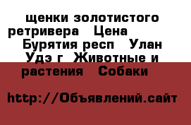 щенки золотистого ретривера › Цена ­ 5 000 - Бурятия респ., Улан-Удэ г. Животные и растения » Собаки   